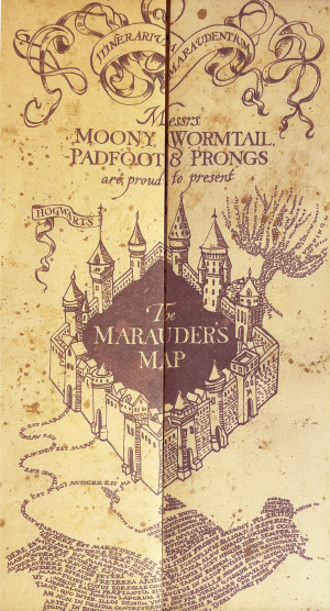 نقشه غارتگر