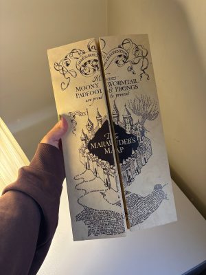 نقشه غارتگر سایز اصلی