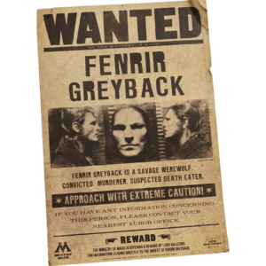 پوستر wanted هری پاتر